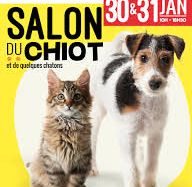 Ioupsi & Joke // Salon du chiot et de quelques chatons
