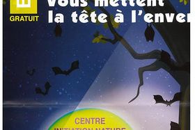Les chauves-souris vous mettent la tête à l'envers