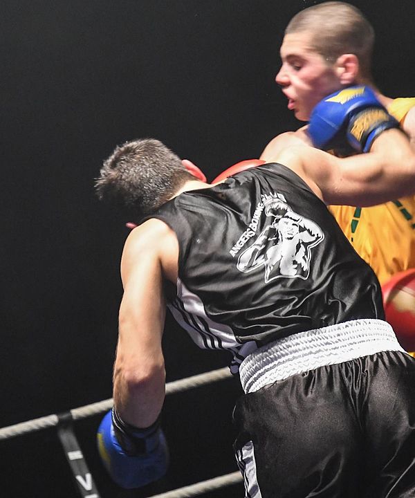 Gala de Boxe 2017 Ville de Laval
