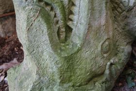 Koikes ? Surprises et patrimoine