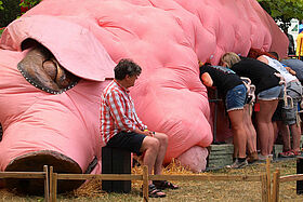 Oink