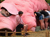Oink