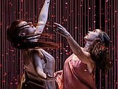 LES JOUES ROSES // CAPUCINE LUCAS - CIE KOKESHI