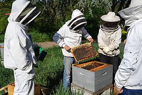 PORTES OUVERTES AU RUCHER DU POTIER