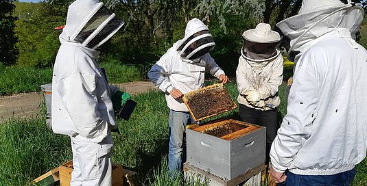 PORTES OUVERTES AU RUCHER DU POTIER