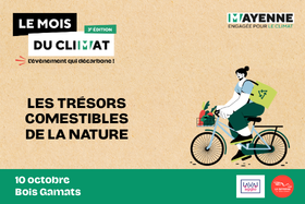 Les trésors comestibles de la nature