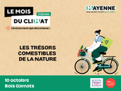 Les trésors comestibles de la nature