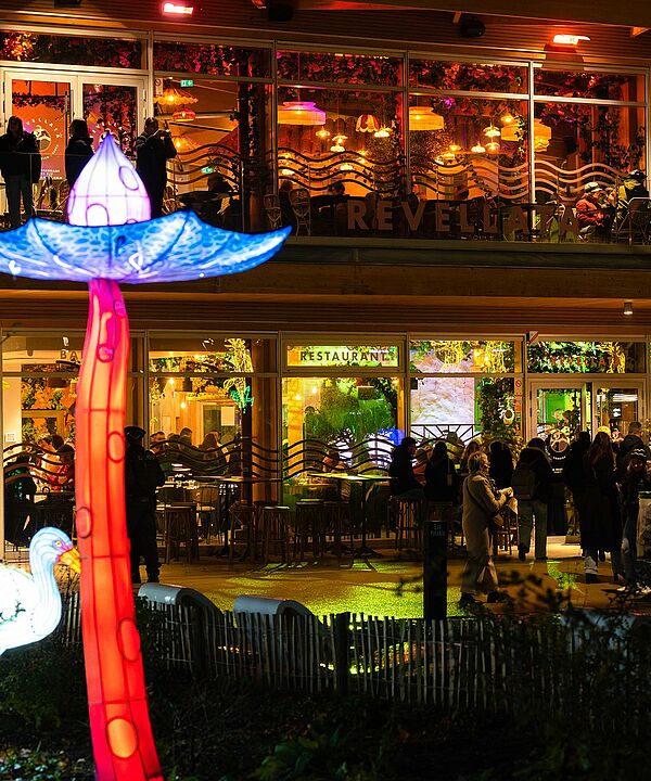 Agrandir l'image, .jpeg 886Ko (fenêtre modale)