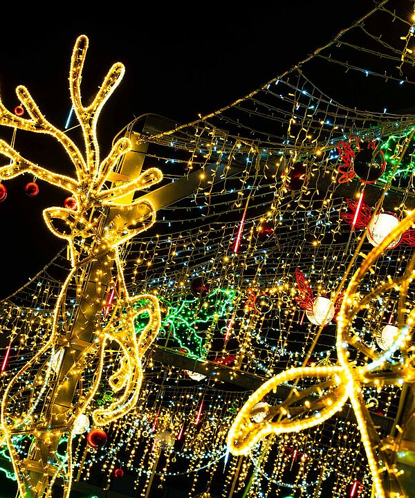 Agrandir l'image, .jpeg 1.00Mo (fenêtre modale)