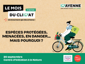 Espèces protégées, menacées, en danger... mais pourquoi ?