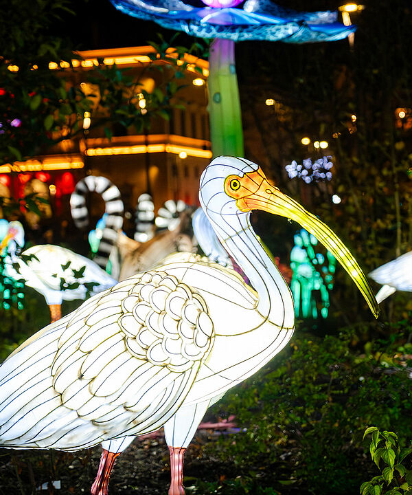 Agrandir l'image, .jpeg 857Ko (fenêtre modale)