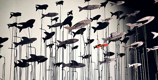 Il y a des oiseaux dans l’aquarium