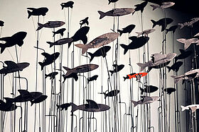 Il y a des oiseaux dans l’aquarium
