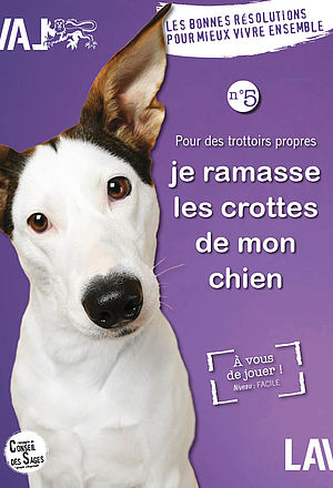 Bonne résolution - Je ramasse les crottes de mon chien