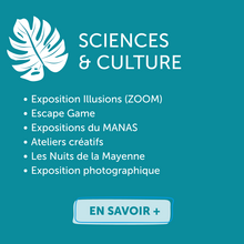 vignette sciences et culture :Exposition Illusions (ZOOM) Escape Game Expositions du MANAS Ateliers créatifs Les Nuits de la Mayenne Exposition photographique
