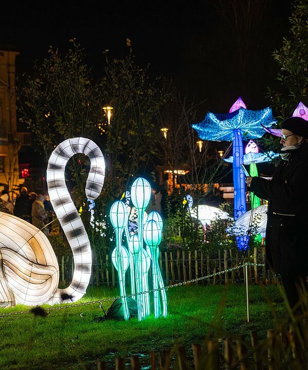 Agrandir l'image, .jpeg 715Ko (fenêtre modale)