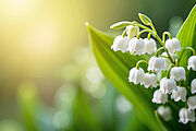 Vente de muguet le 1er mai : ce qu’il faut savoir !