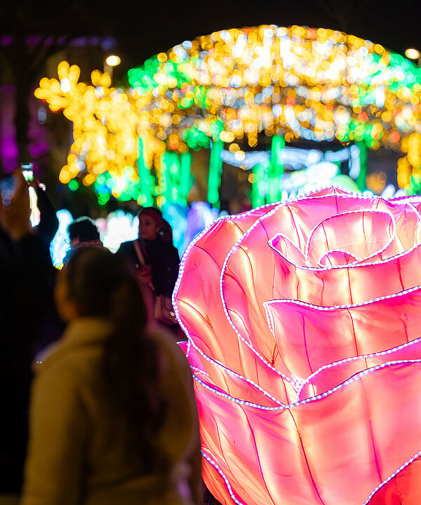 Agrandir l'image, .jpeg 643Ko (fenêtre modale)