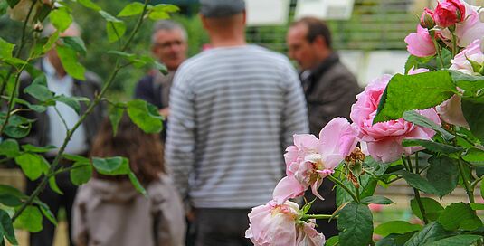 Rendez-vous aux jardins ouvre les coulisses de ses espaces verts au grand public