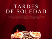 Tardes de soledad