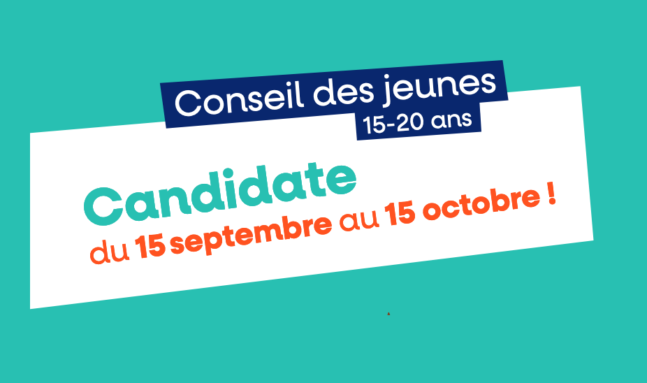 https://www.laval.fr/fileadmin/documents/CONSEIL_DES_JEUNES/apercu_appel_a_candidatures.png